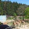 Zoo - Olomouc
